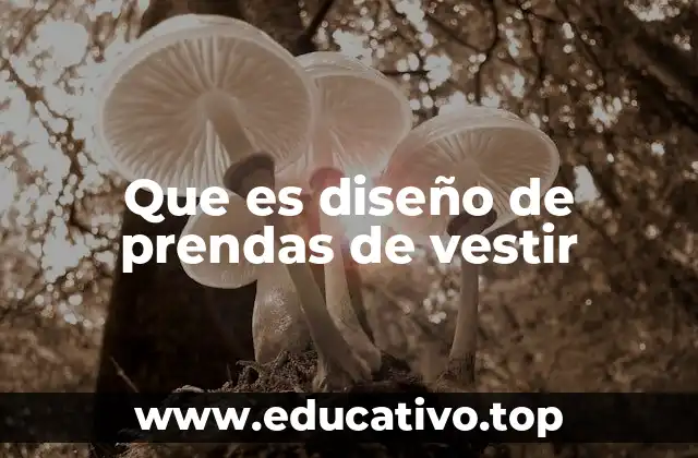 Que es diseño de prendas de vestir
