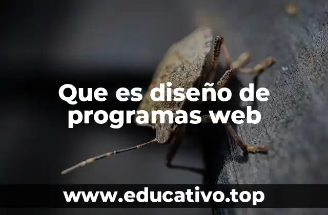 Que es diseño de programas web