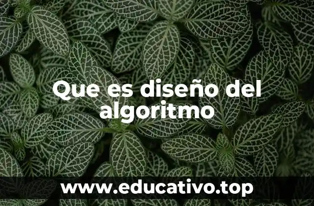 Que es diseño del algoritmo