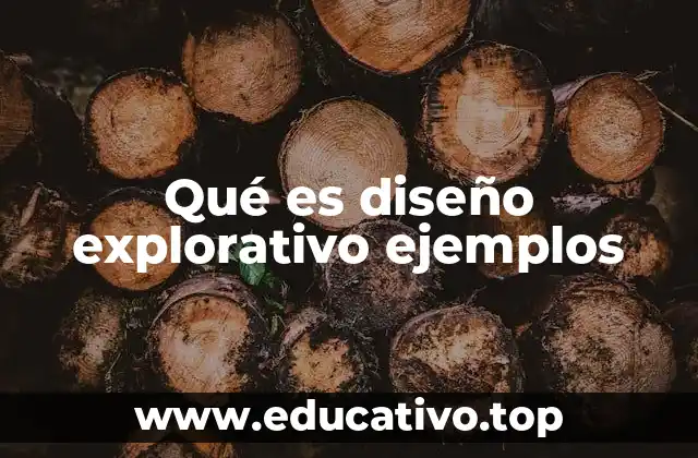 Qué es diseño explorativo ejemplos