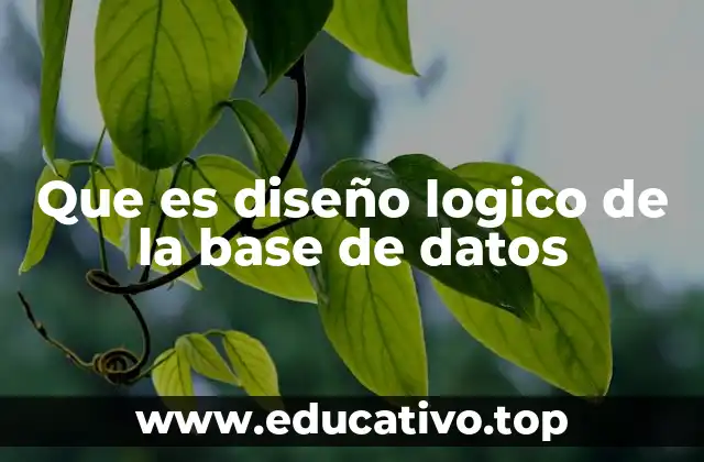 Que es diseño logico de la base de datos