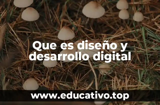Que es diseño y desarrollo digital