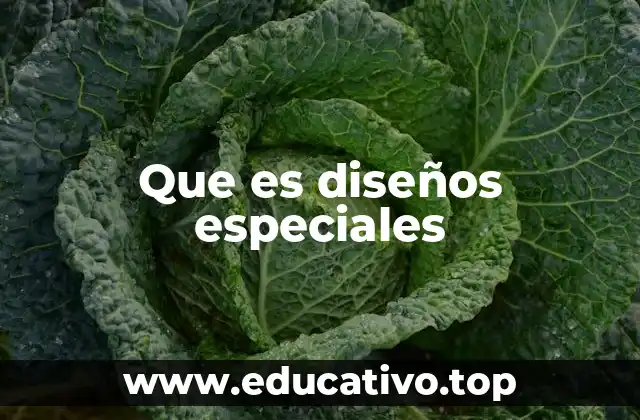 Que es diseños especiales