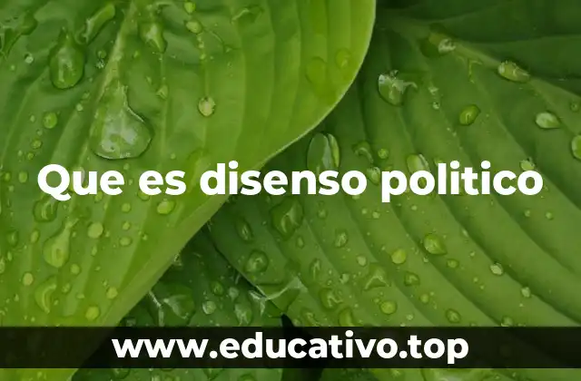 Que es disenso politico