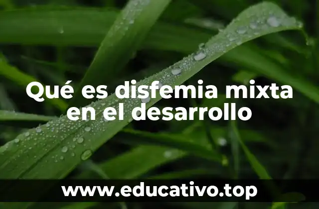 Qué es disfemia mixta en el desarrollo