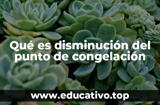 Qué es disminución del punto de congelación