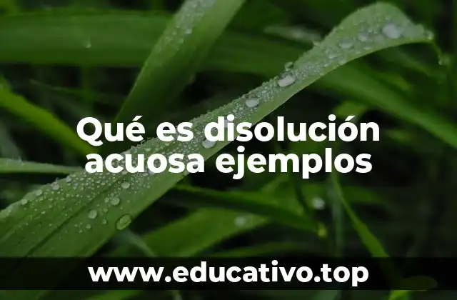 Qué es disolución acuosa ejemplos