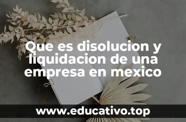 Que es disolucion y liquidacion de una empresa en mexico