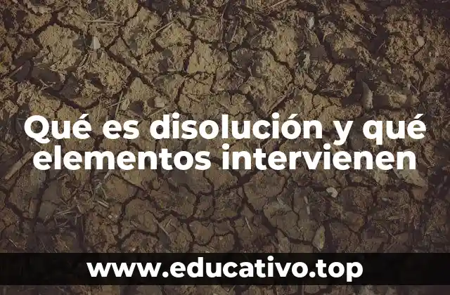 Qué es disolución y qué elementos intervienen