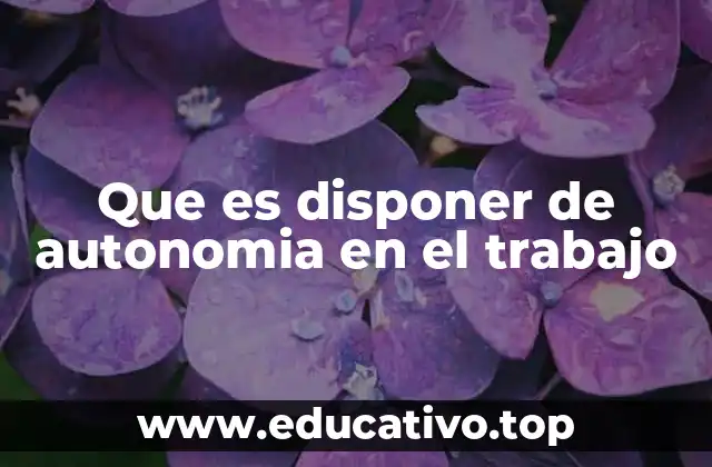 La importancia de la independencia profesional en el entorno laboral