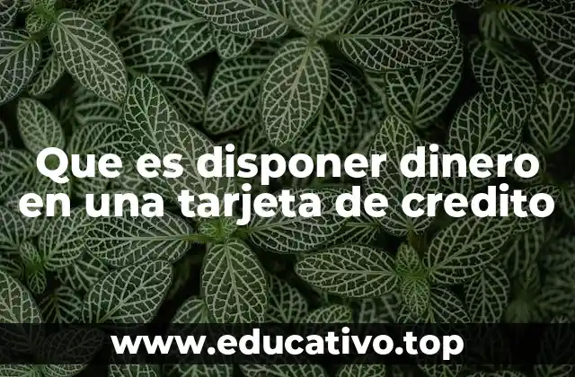 Que es disponer dinero en una tarjeta de credito
