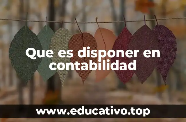 Que es disponer en contabilidad