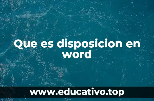 Que es disposicion en word