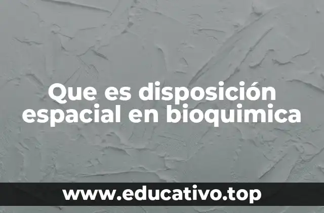 Que es disposición espacial en bioquimica