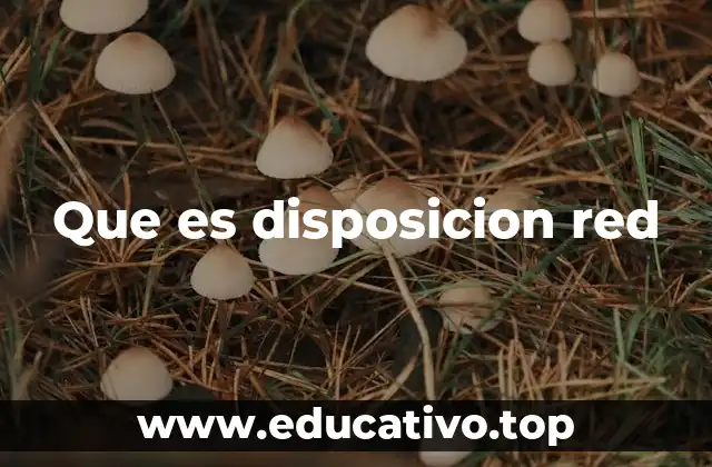 La importancia de una buena organización en entornos digitales