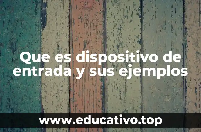 Que es dispositivo de entrada y sus ejemplos