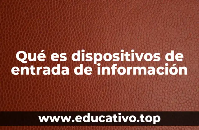 Qué es dispositivos de entrada de información