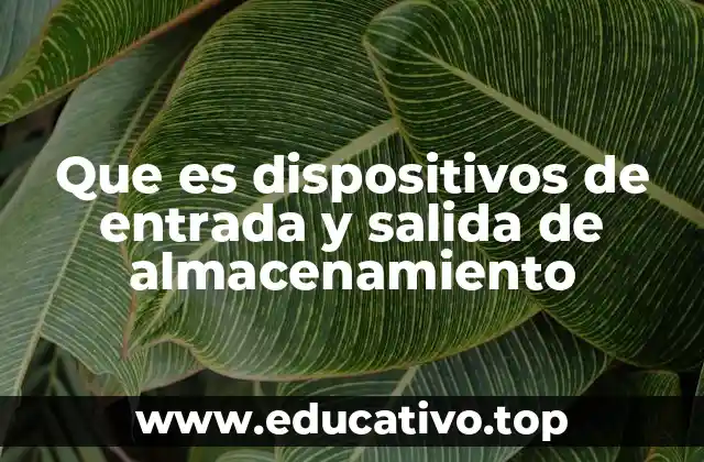 Que es dispositivos de entrada y salida de almacenamiento