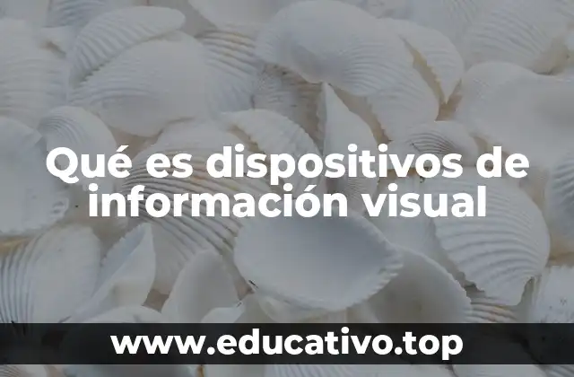 Qué es dispositivos de información visual