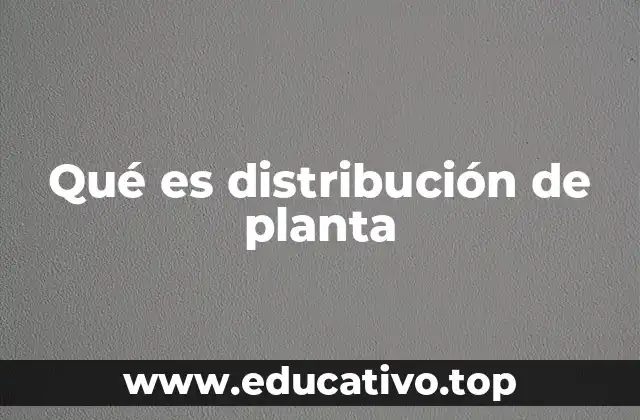 Qué es distribución de planta