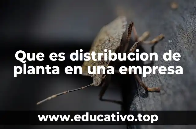 Que es distribucion de planta en una empresa