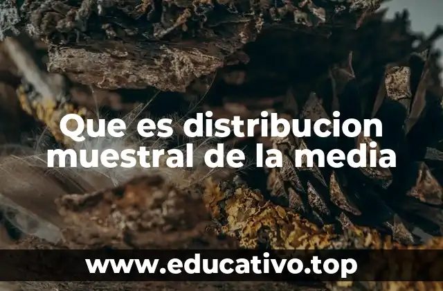 Que es distribucion muestral de la media