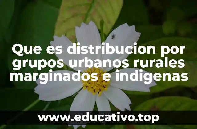Que es distribucion por grupos urbanos rurales marginados e indigenas