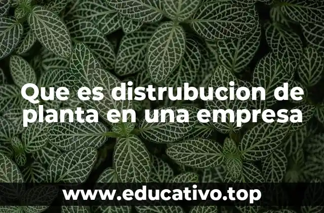 Que es distrubucion de planta en una empresa