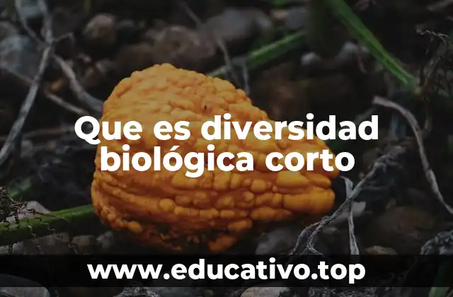 La importancia de la riqueza natural en el planeta