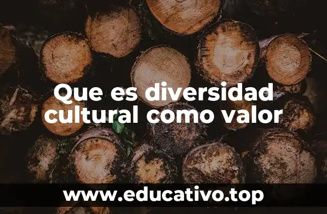Que es diversidad cultural como valor