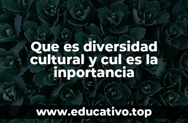 Que es diversidad cultural y cul es la inportancia