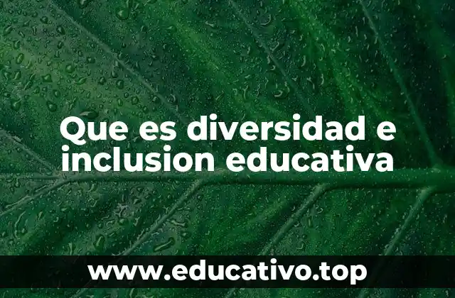 Que es diversidad e inclusion educativa