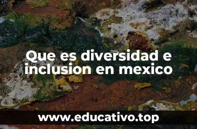 Que es diversidad e inclusion en mexico