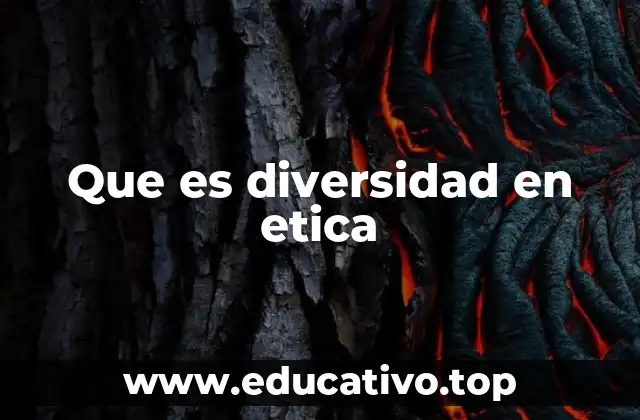 Que es diversidad en etica