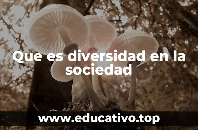 Que es diversidad en la sociedad