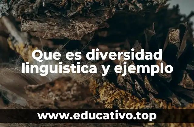 Que es diversidad linguistica y ejemplo