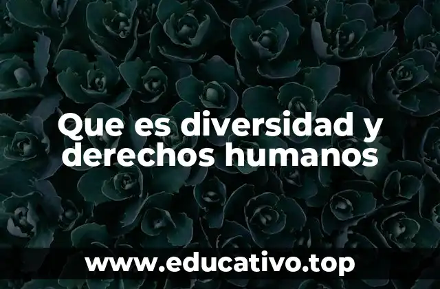 Que es diversidad y derechos humanos