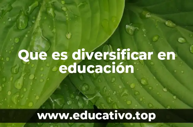Que es diversificar en educación