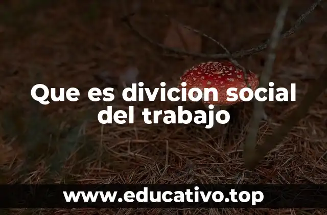 Que es divicion social del trabajo