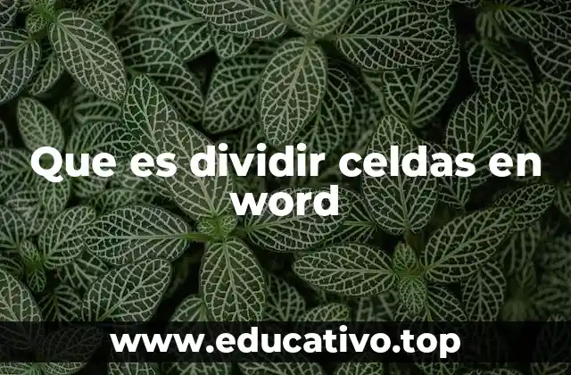 Que es dividir celdas en word