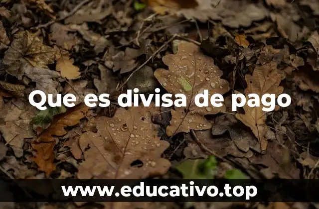 Que es divisa de pago