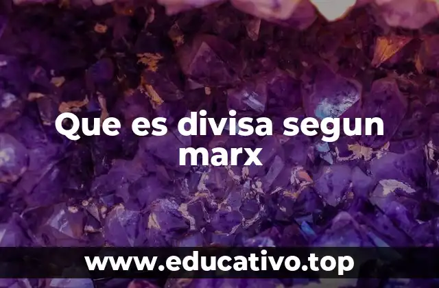 Que es divisa segun marx