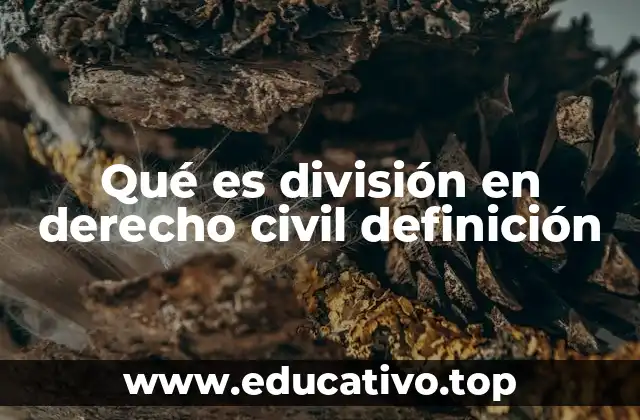 Qué es división en derecho civil definición