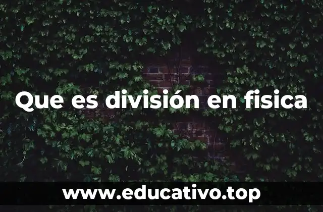 Que es división en fisica