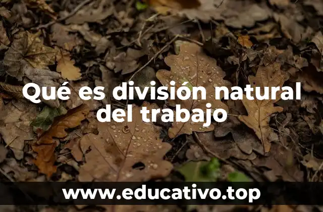 Qué es división natural del trabajo