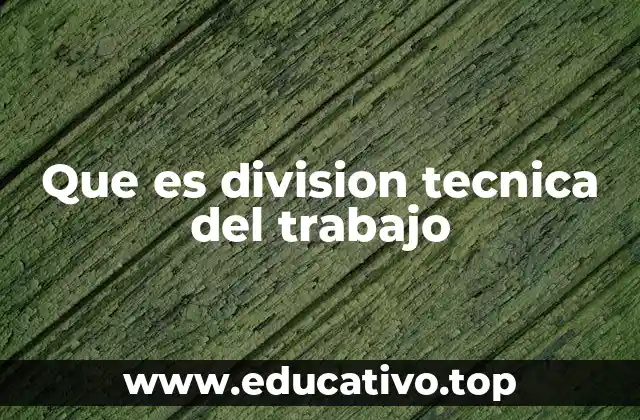 Que es division tecnica del trabajo