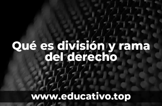 Qué es división y rama del derecho