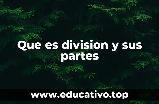 Que es division y sus partes