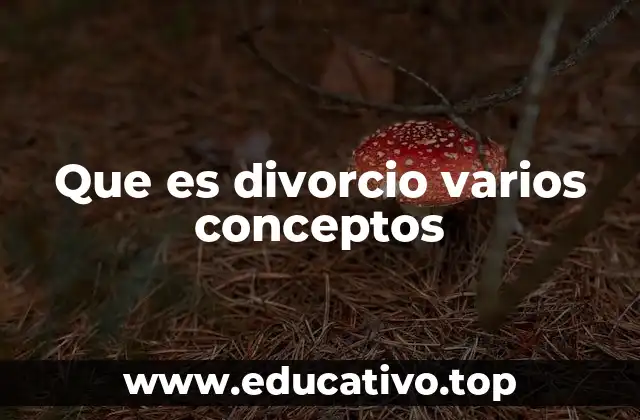 Que es divorcio varios conceptos