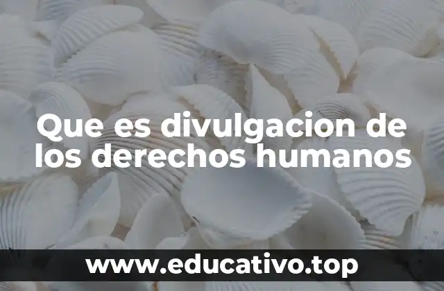 Que es divulgacion de los derechos humanos